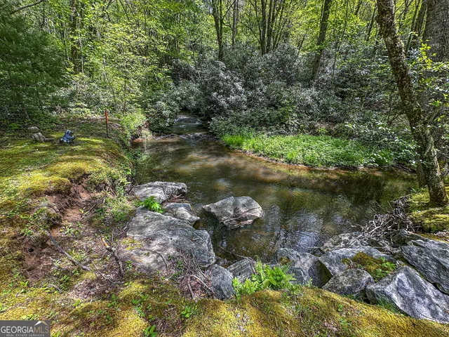 a view of a lake with large trees