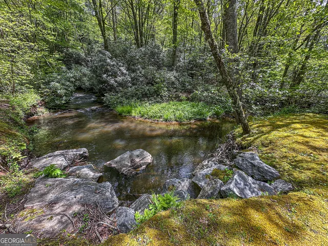 a backyard of a house with lots of green space and lake view