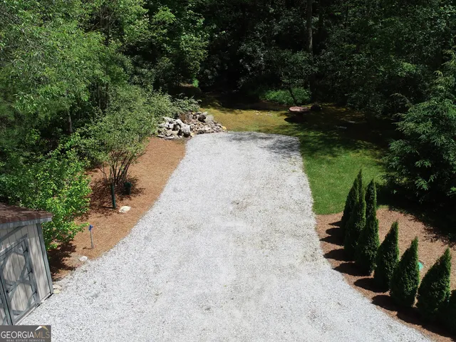a view of a yard with plants and large trees