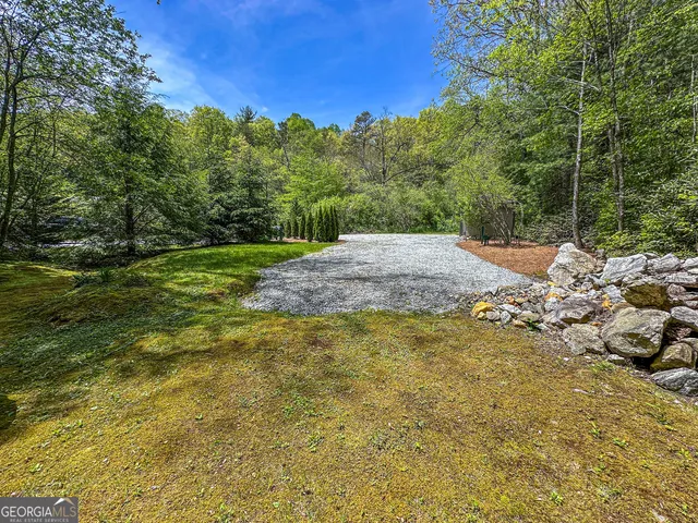 a view of a yard with an tree