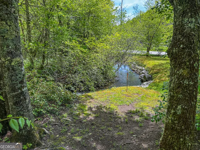 a view of a yard with an trees