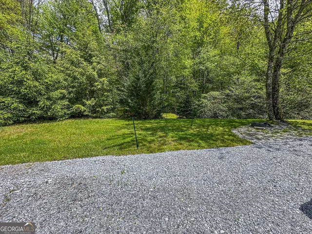 a view of a field with a yard