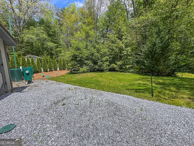 a view of a park with large trees