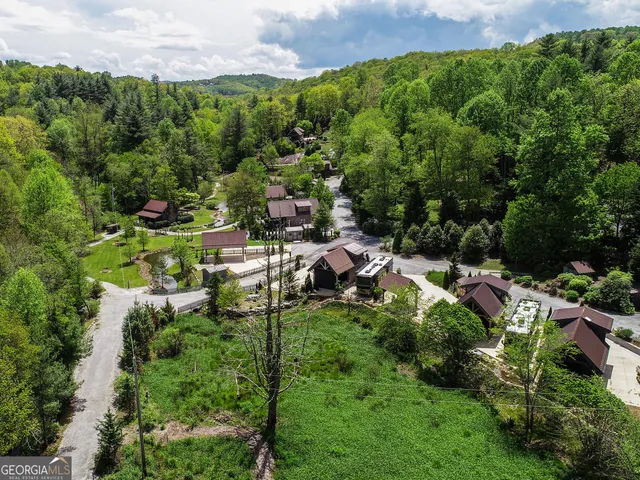 a view of a city with lush green forest