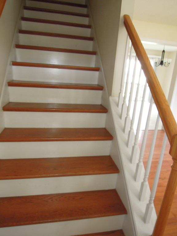 20 Paramount Street Springfield, MA 01104 - Photo 19 of 25 Gallery Image 19