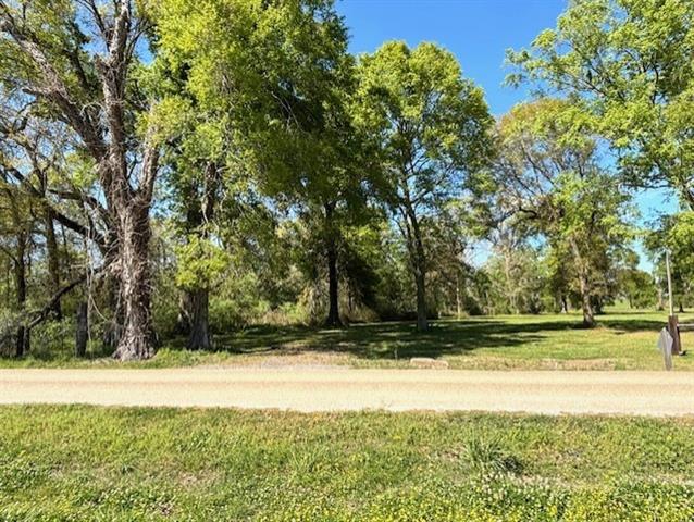 35158 Rena Melancon Road Geismar, LA 70734 - Photo 2 of 7