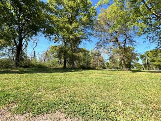 35158 Rena Melancon Road Geismar, LA 70734 - Photo 3 of 7