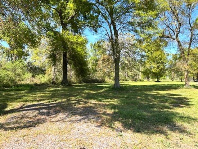 35158 Rena Melancon Road Geismar, LA 70734 - Photo 4 of 7
