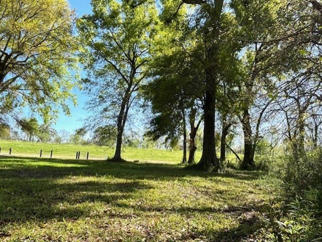 35158 Rena Melancon Road Geismar, LA 70734 - Photo 5 of 7