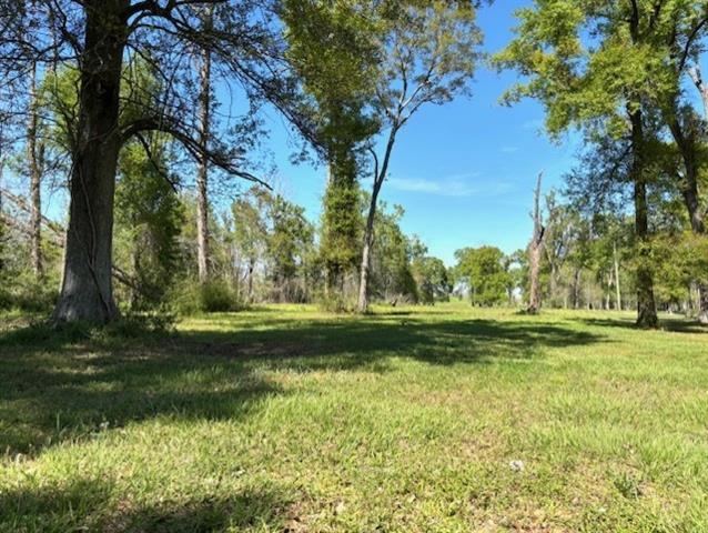 35158 Rena Melancon Road Geismar, LA 70734 - Photo 6 of 7