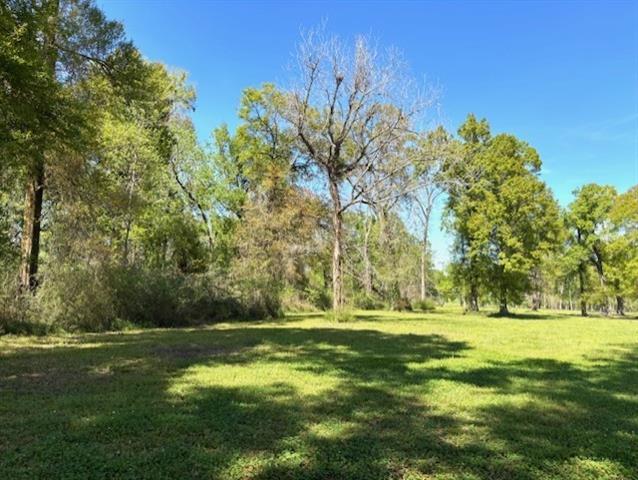 35158 Rena Melancon Road Geismar, LA 70734 - Photo 7 of 7