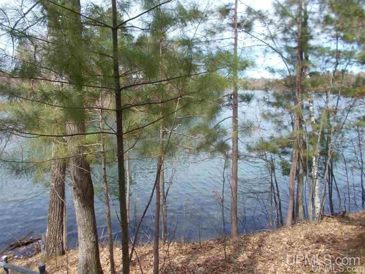 T-wi Lake Ellwood Road, Unit LOT 6 Florence, WI 54121 - Photo 1 of 1