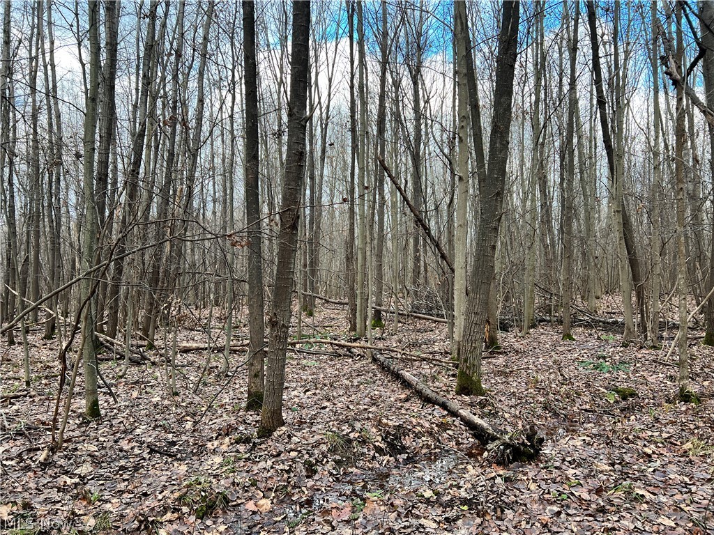 1291 Old Kyle Road Dorset, OH 44032 - Photo 15 of 21