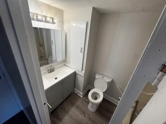 a bathroom with a sink mirror vanity and toilet