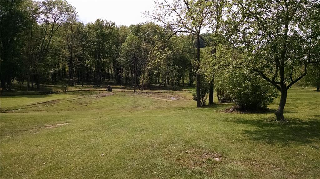 1724 Shady Plain Road Apollo, PA 15613 - Photo 3 of 20