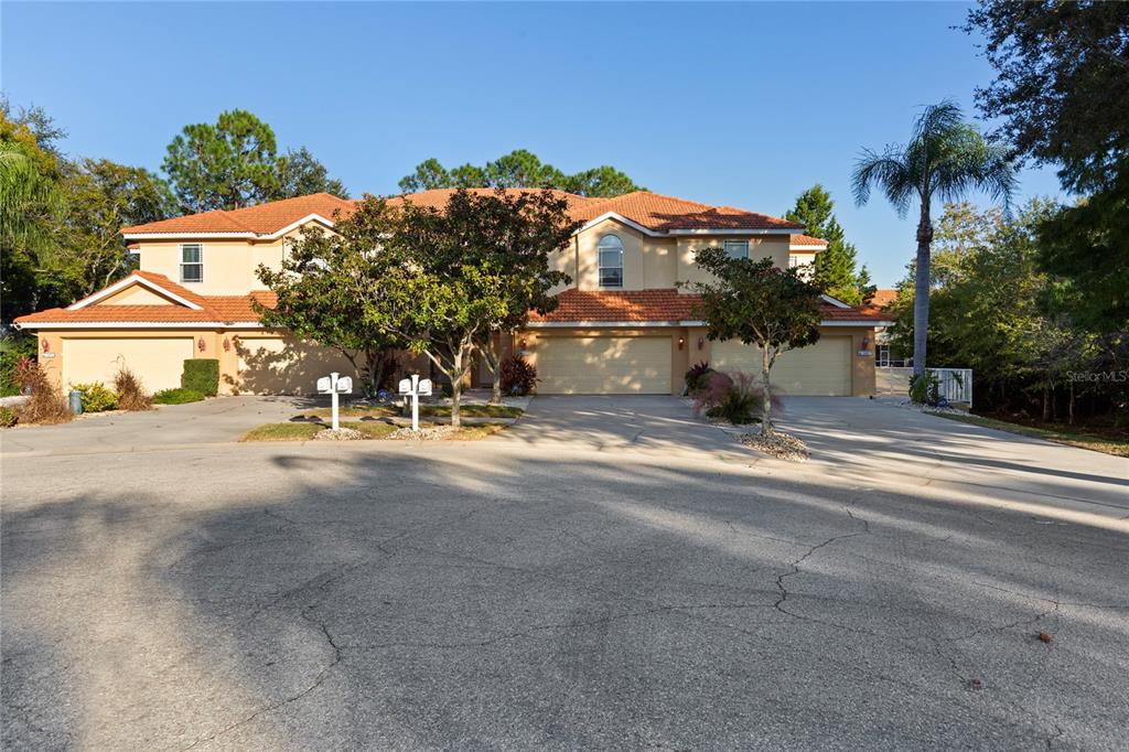 1455 Hidden Court Tarpon Springs, FL 34689 - Photo 30 of 30 a view of a street with houses on both side