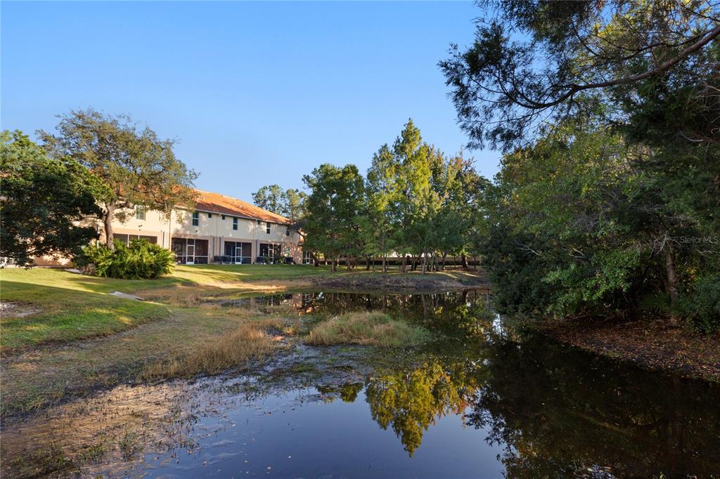 1455 Hidden Court Tarpon Springs, FL 34689 - Photo 10 of 30 a view of a lake with houses