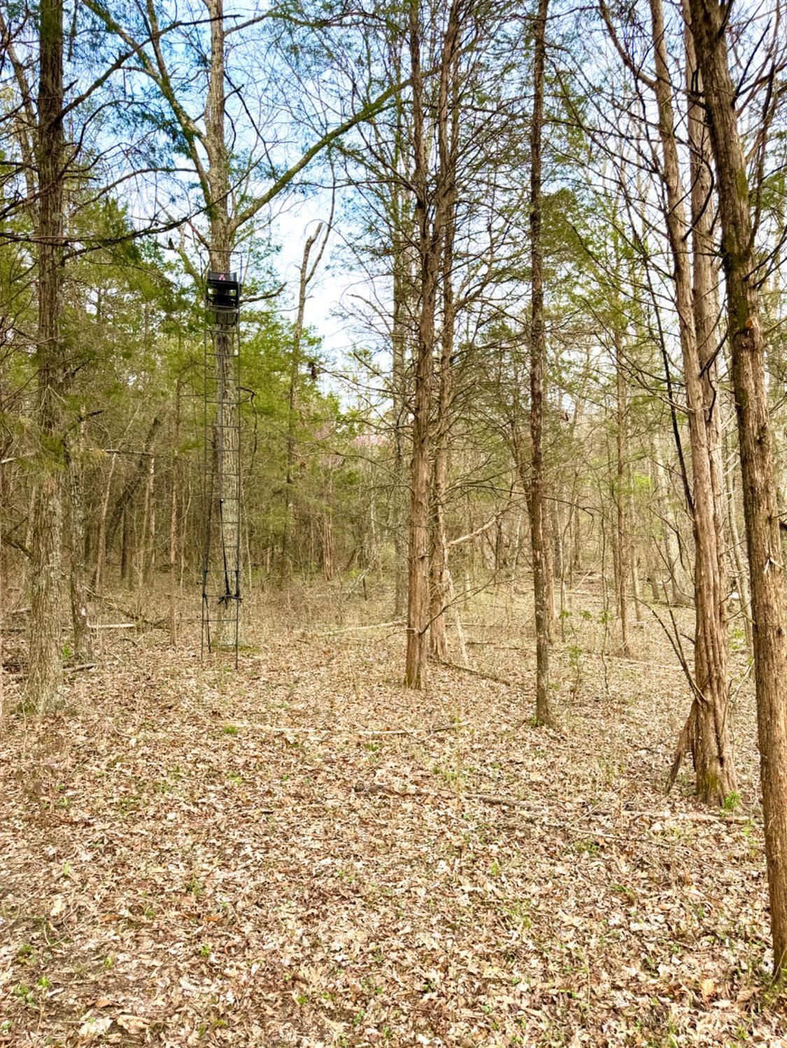 1600 Magee Jones Road Peebles, OH 45660 - Photo 14 of 91
