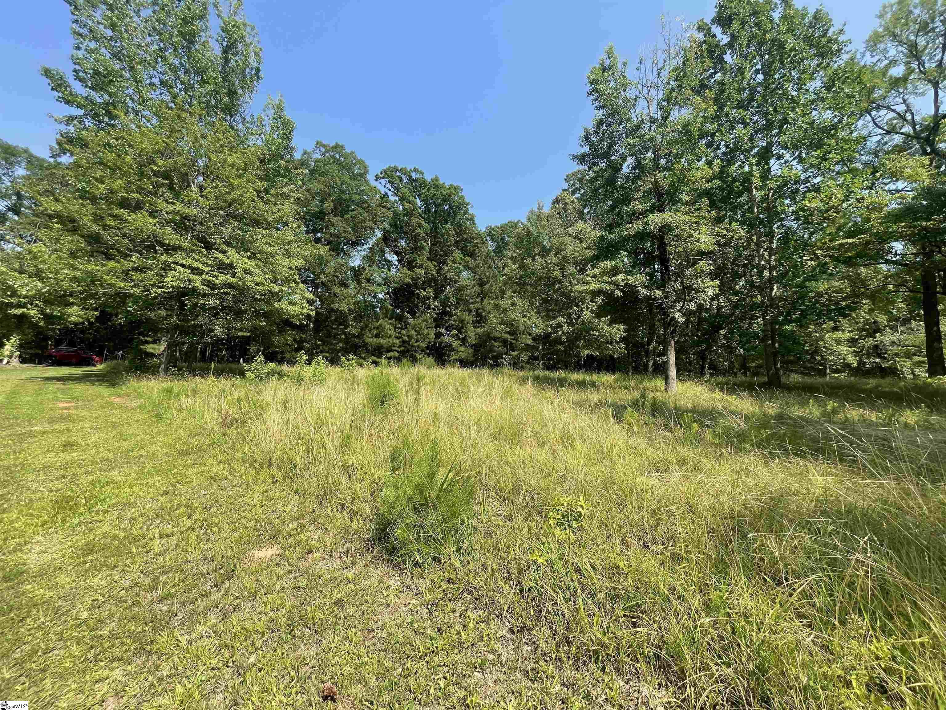 461 Overlook Drive Fair Play, SC 29643 - Photo 3 of 24