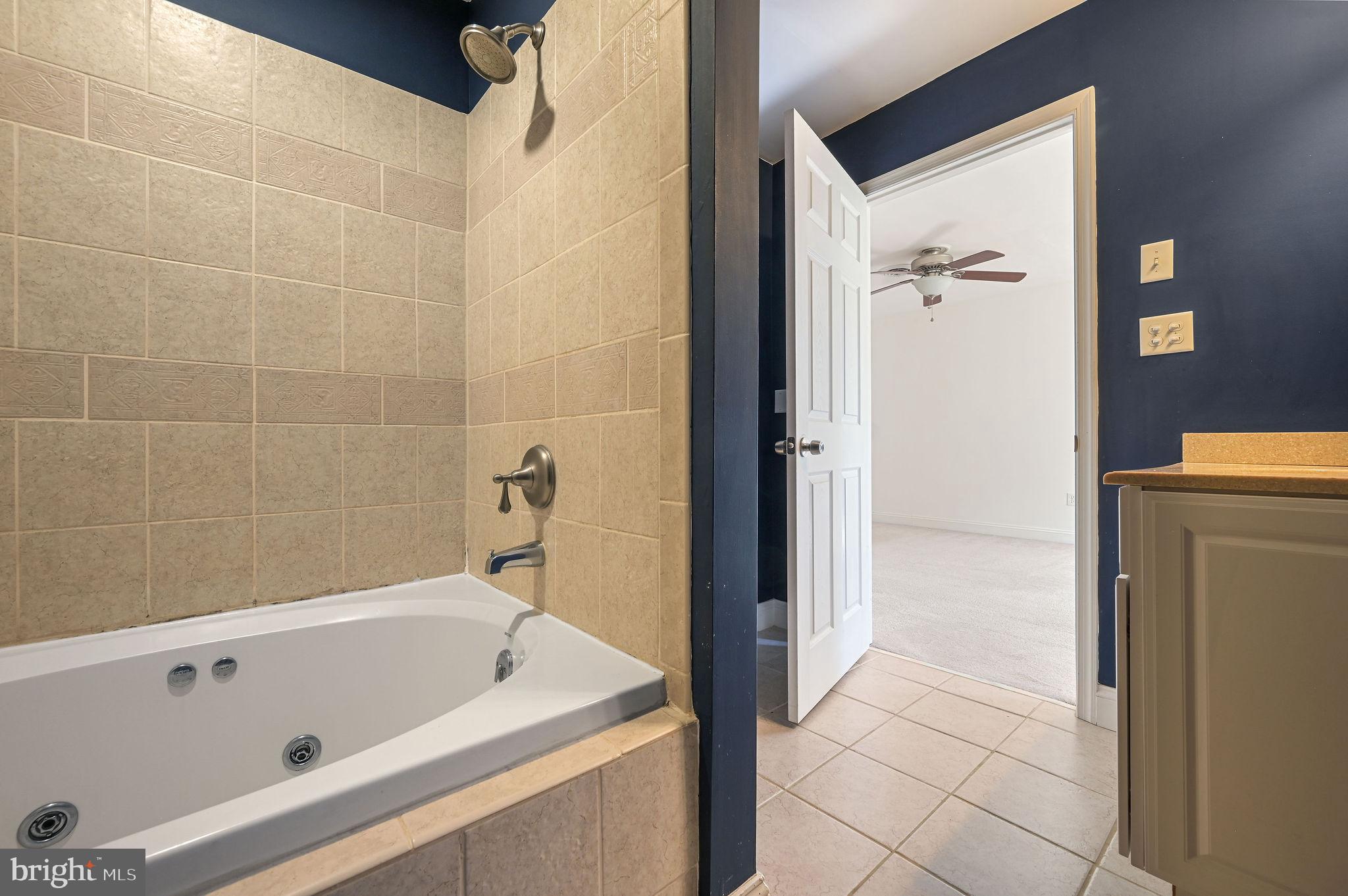 231 East Evens Road Viola, DE 19979 - Photo 19 of 36 a bathroom with a bathtub and a shower