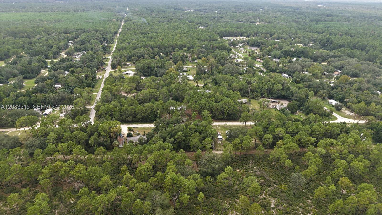 119 Fox Den Road Satsuma, FL 32189 - Photo 6 of 38 Gallery Image 6