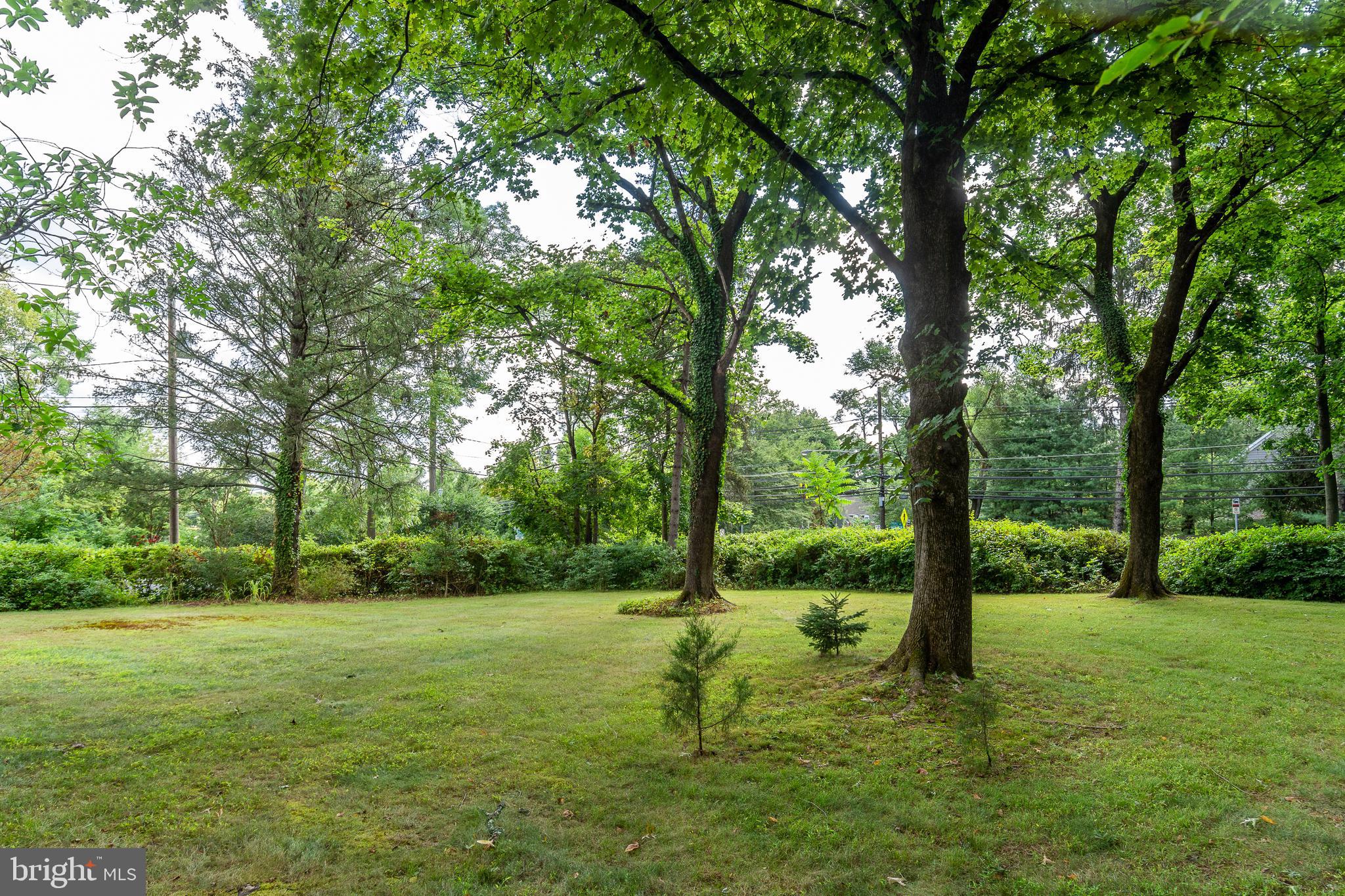 12 Poe Road Princeton, NJ 08540 - Photo 3 of 35 Yard