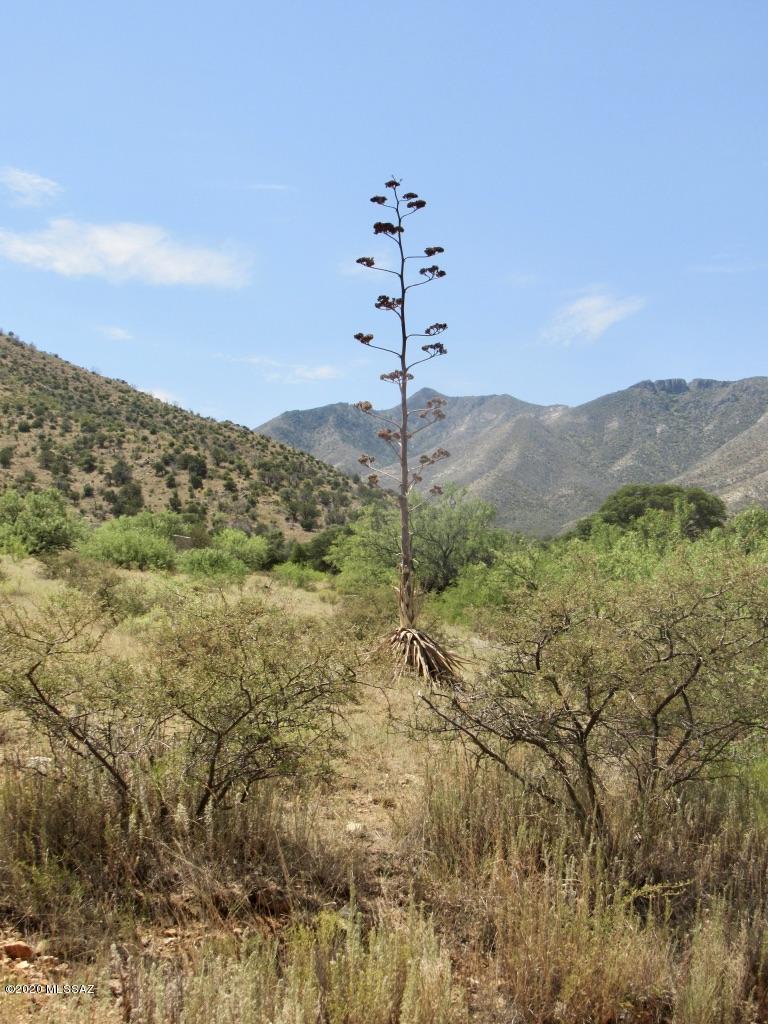 26-acres West Hilltop Road San Simon, AZ 85632 - Photo 37 of 39