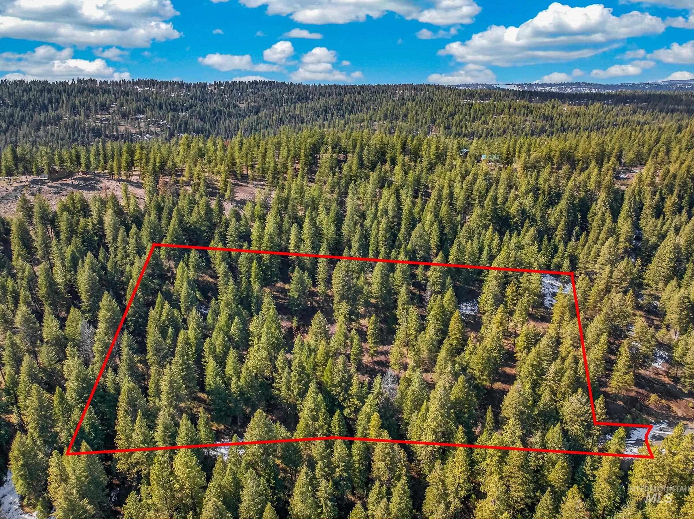 Lot 19 Little Salmon Road New Meadows, ID 83654 - Photo 3 of 11