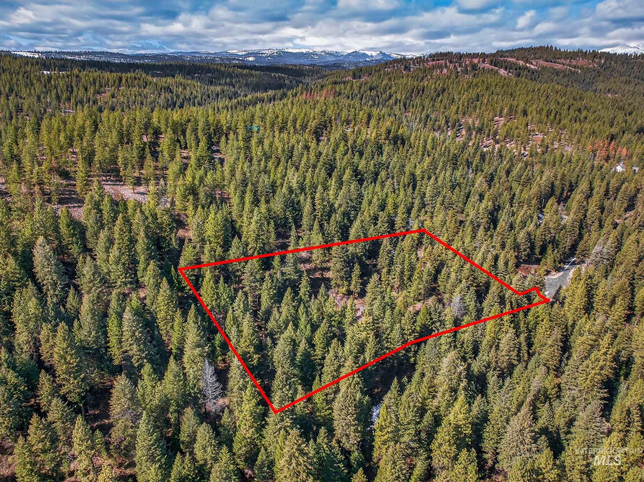 Lot 19 Little Salmon Road New Meadows, ID 83654 - Photo 4 of 11