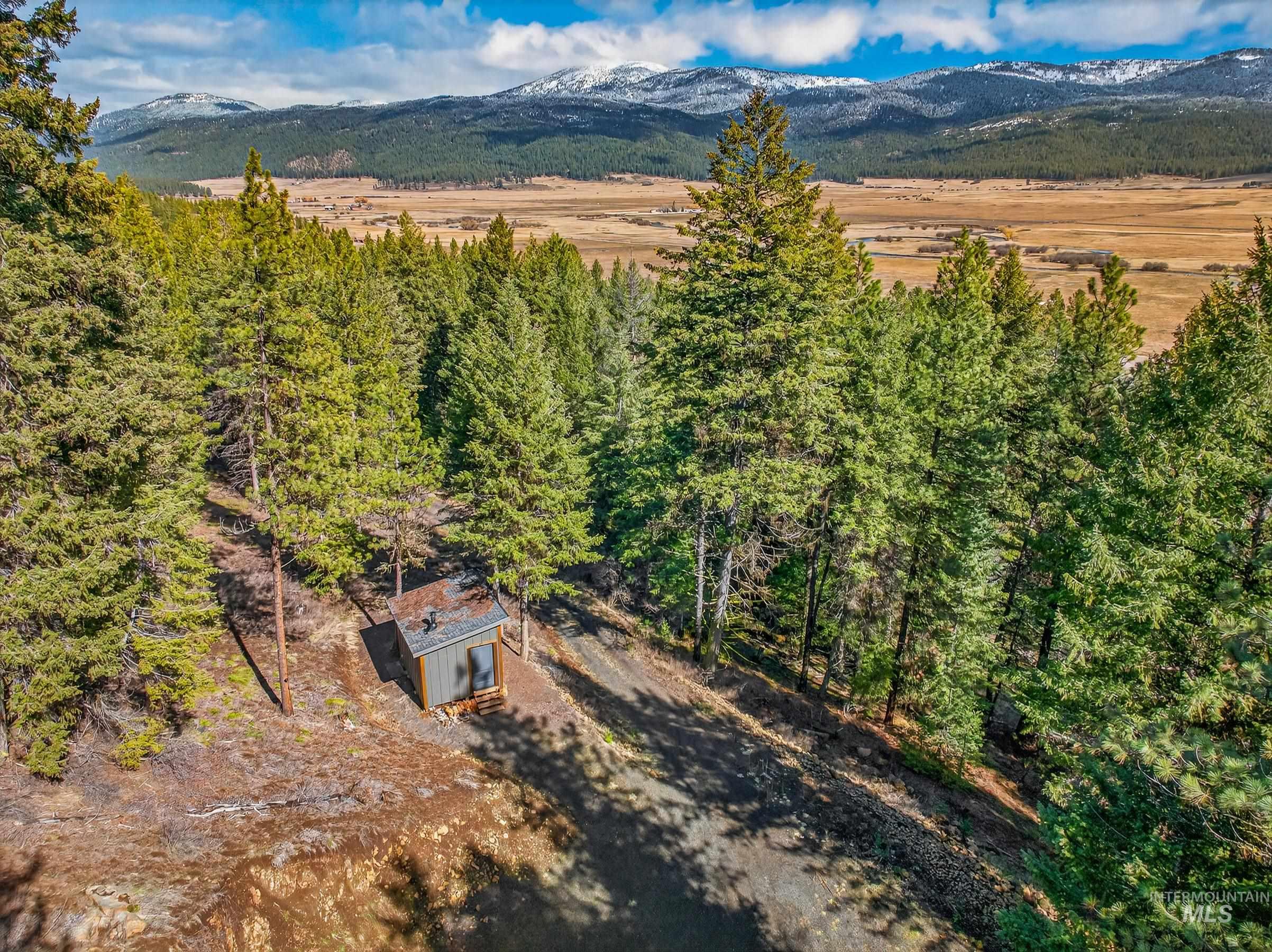 Lot 19 Little Salmon Road New Meadows, ID 83654 - Photo 5 of 11