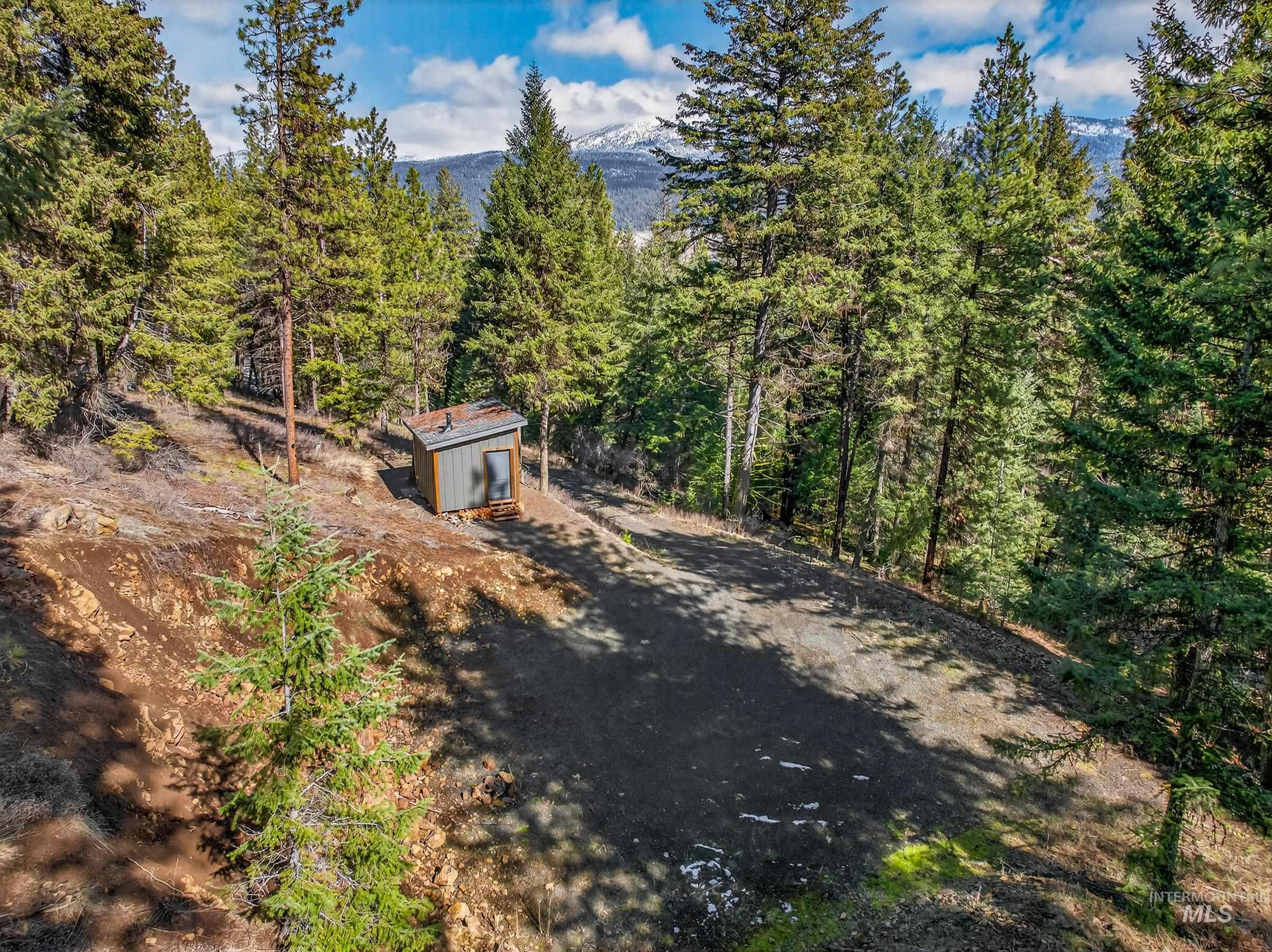 Lot 19 Little Salmon Road New Meadows, ID 83654 - Photo 6 of 11