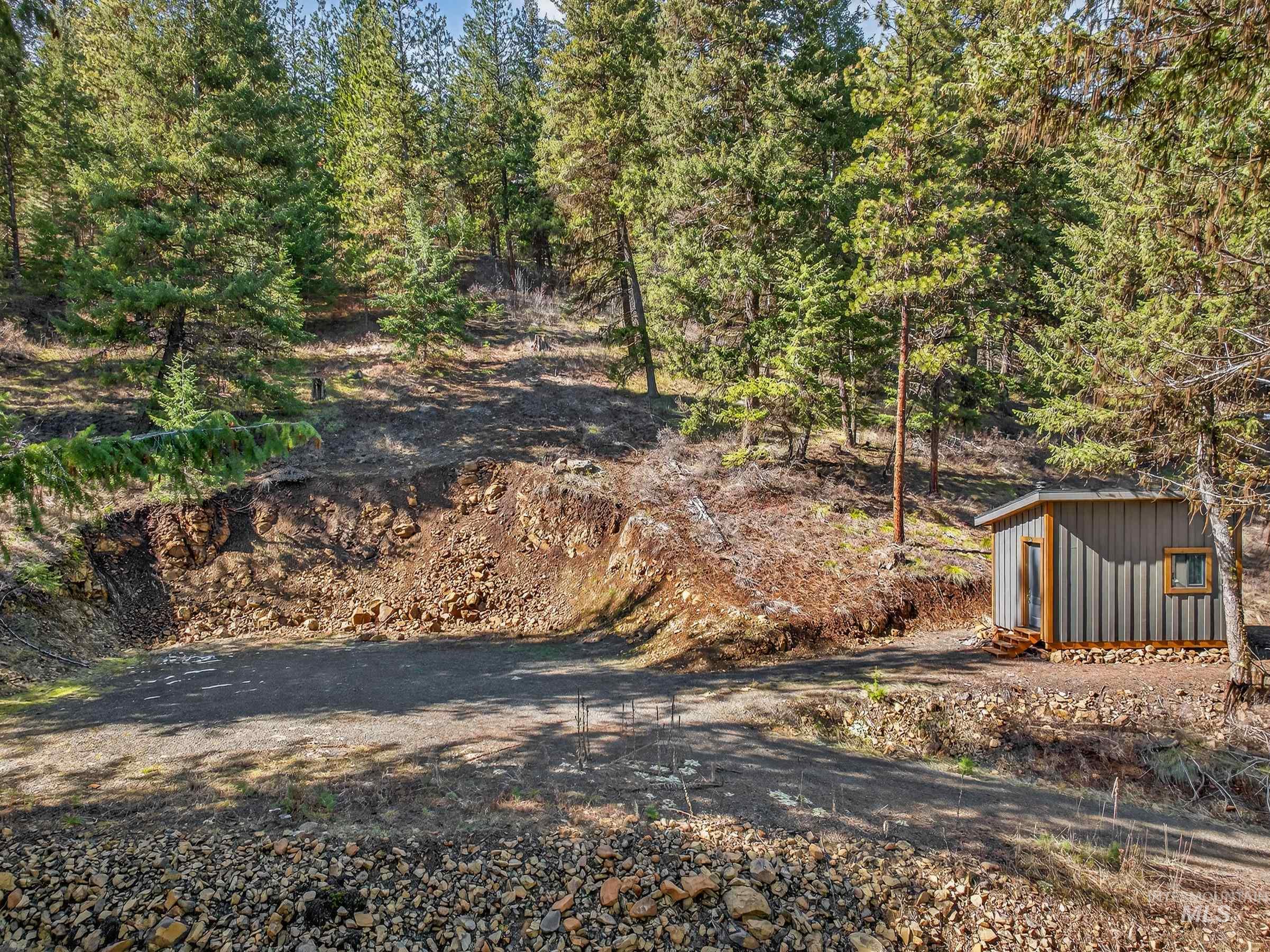 Lot 19 Little Salmon Road New Meadows, ID 83654 - Photo 7 of 11