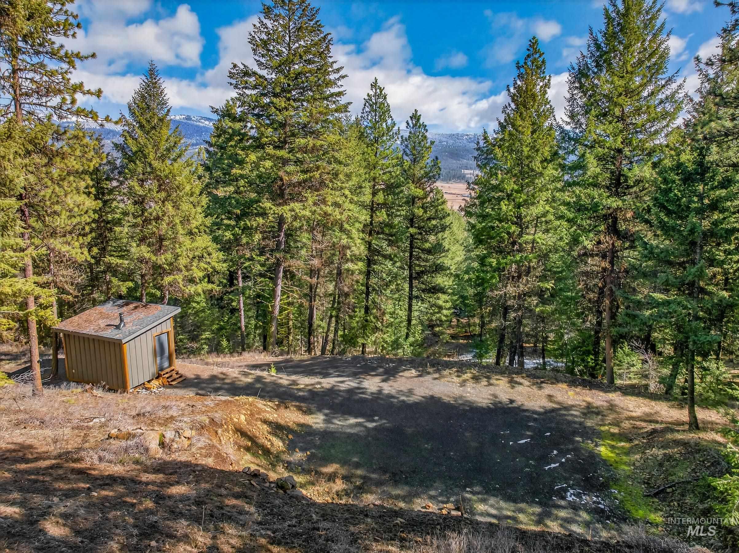 Lot 19 Little Salmon Road New Meadows, ID 83654 - Photo 8 of 11