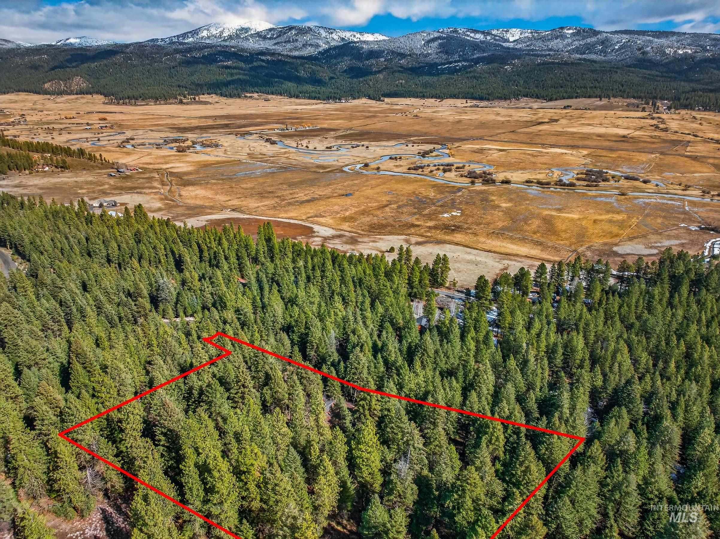 Lot 19 Little Salmon Road New Meadows, ID 83654 - Photo 9 of 11