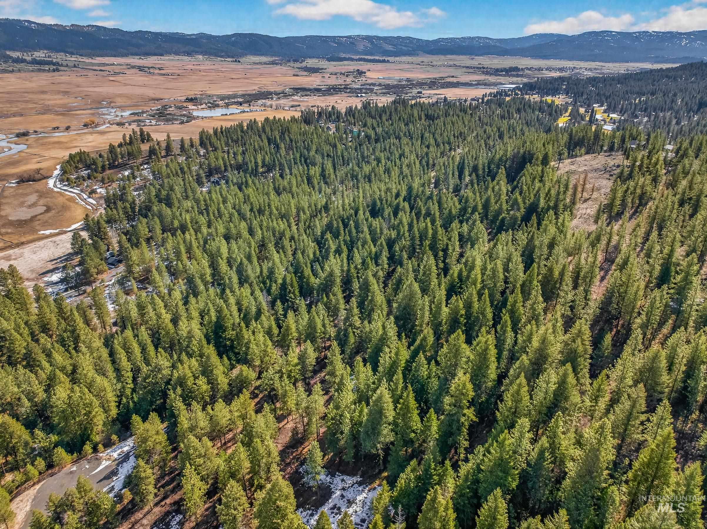 Lot 19 Little Salmon Road New Meadows, ID 83654 - Photo 10 of 11