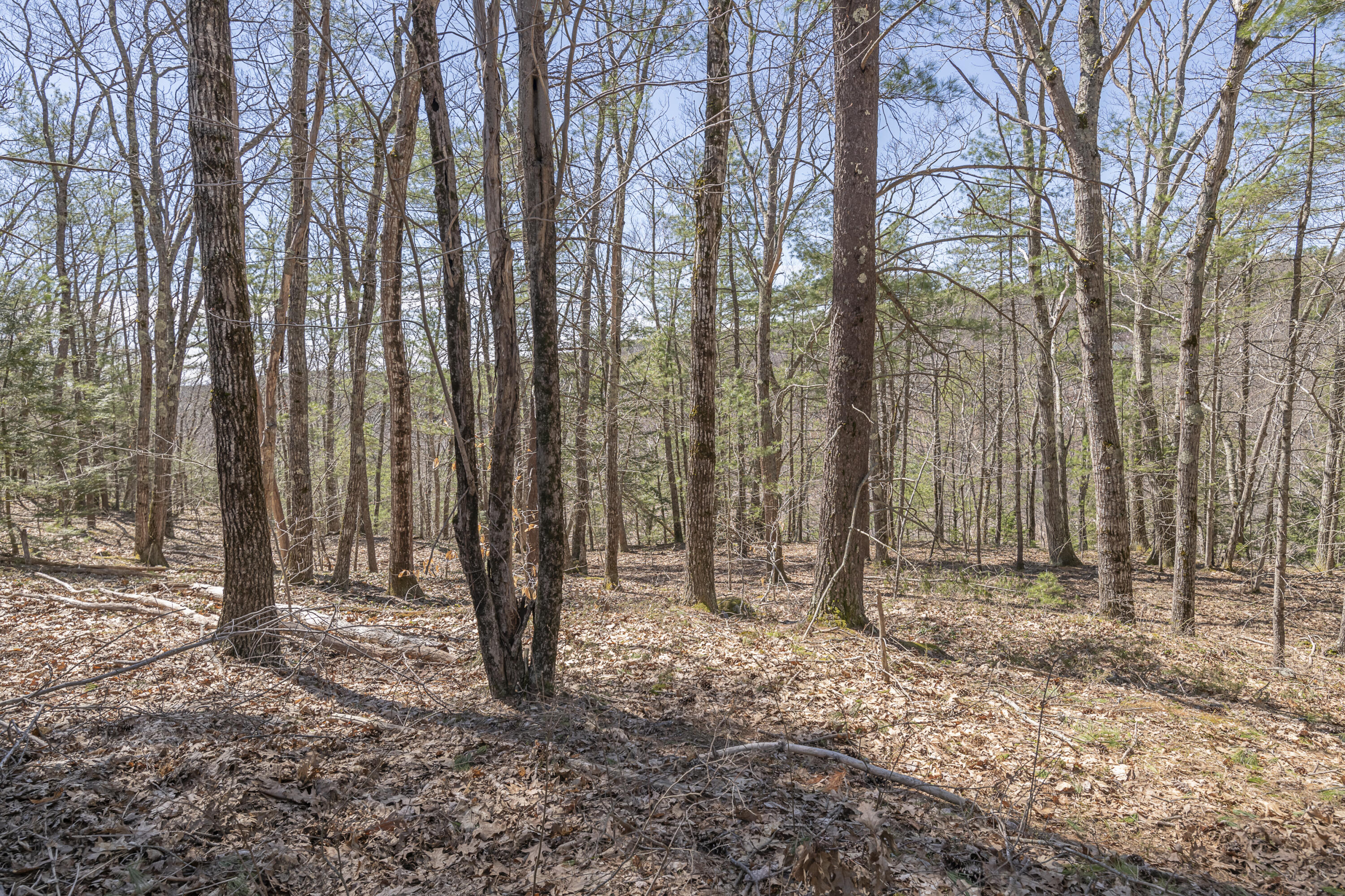 Lot 2 Ridge Road Bath, ME 04530 - Photo 2 of 2 GLM_0057