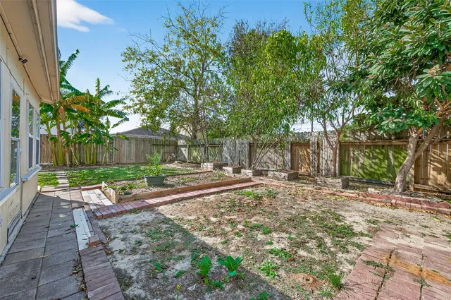 a view of a yard with plants and tree