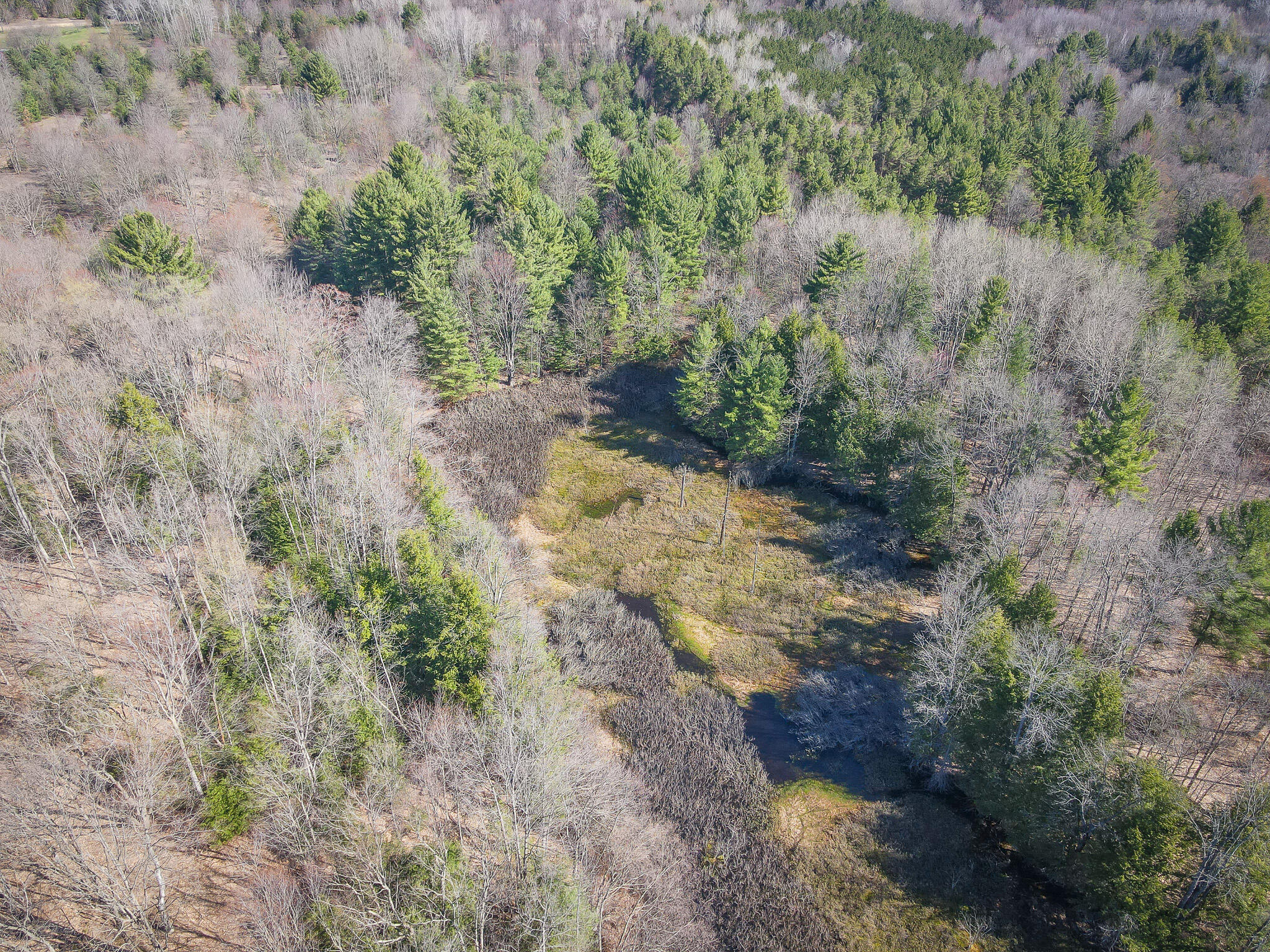 V/l East Baseline Road Shelby, MI 49455 - Photo 29 of 34 DJI_0976