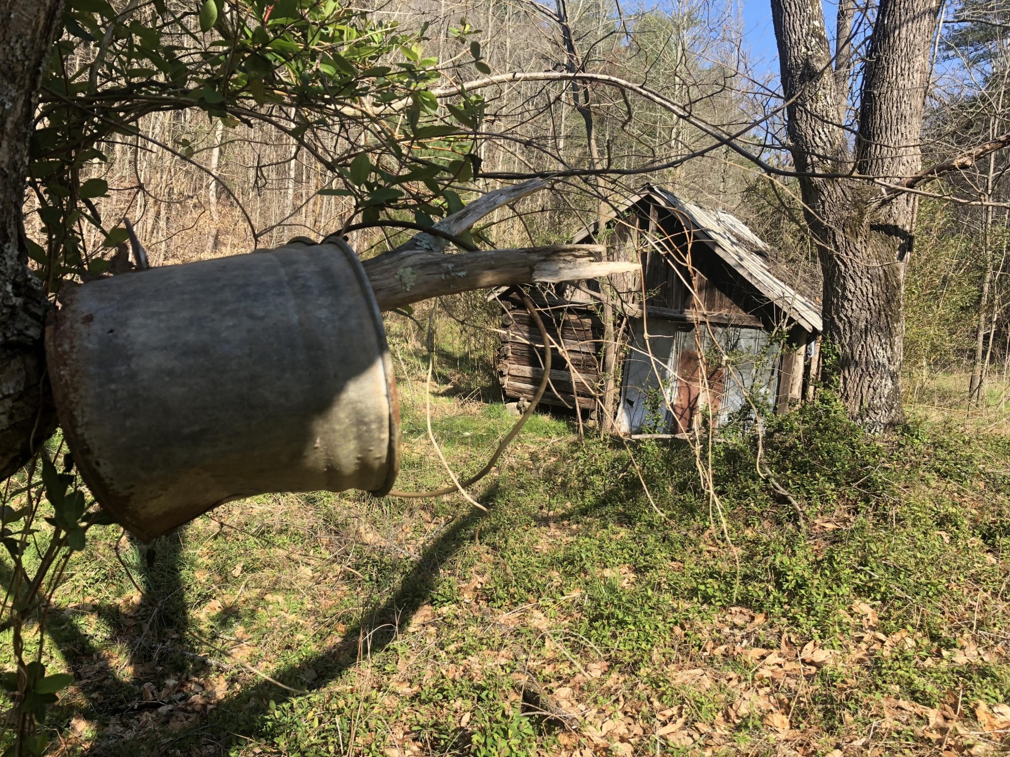388 Greasy Creek Road Reliance, TN 37369 - Photo 20 of 21 Gallery Image 20