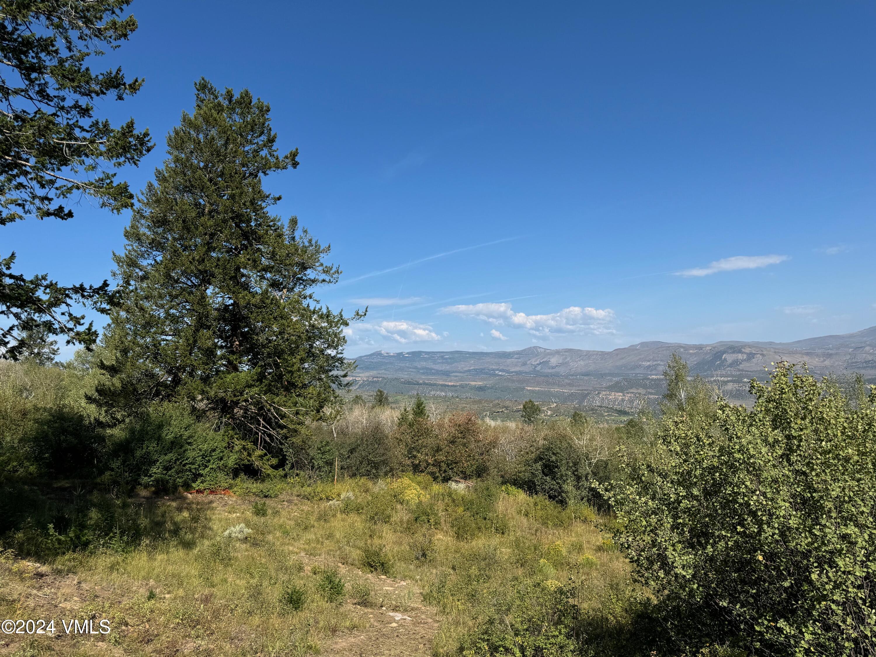 384 Jouflas Ranch Road Wolcott, CO 81655 - Photo 11 of 13 IMG_5111