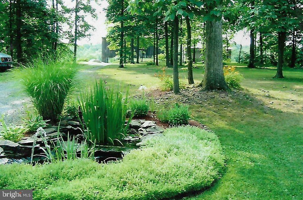 560 White Church Road York Springs, PA 17372 - Photo 26 of 28 Large Front Yard