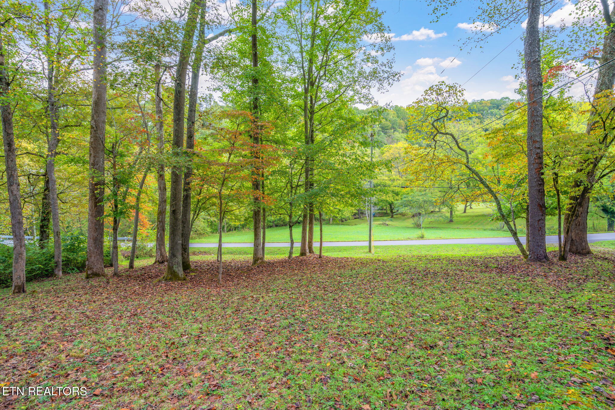 4969 Back Valley Road Speedwell, TN 37870 - Photo 3 of 49 4-web-or-mls-4969 Back Valley Road-26