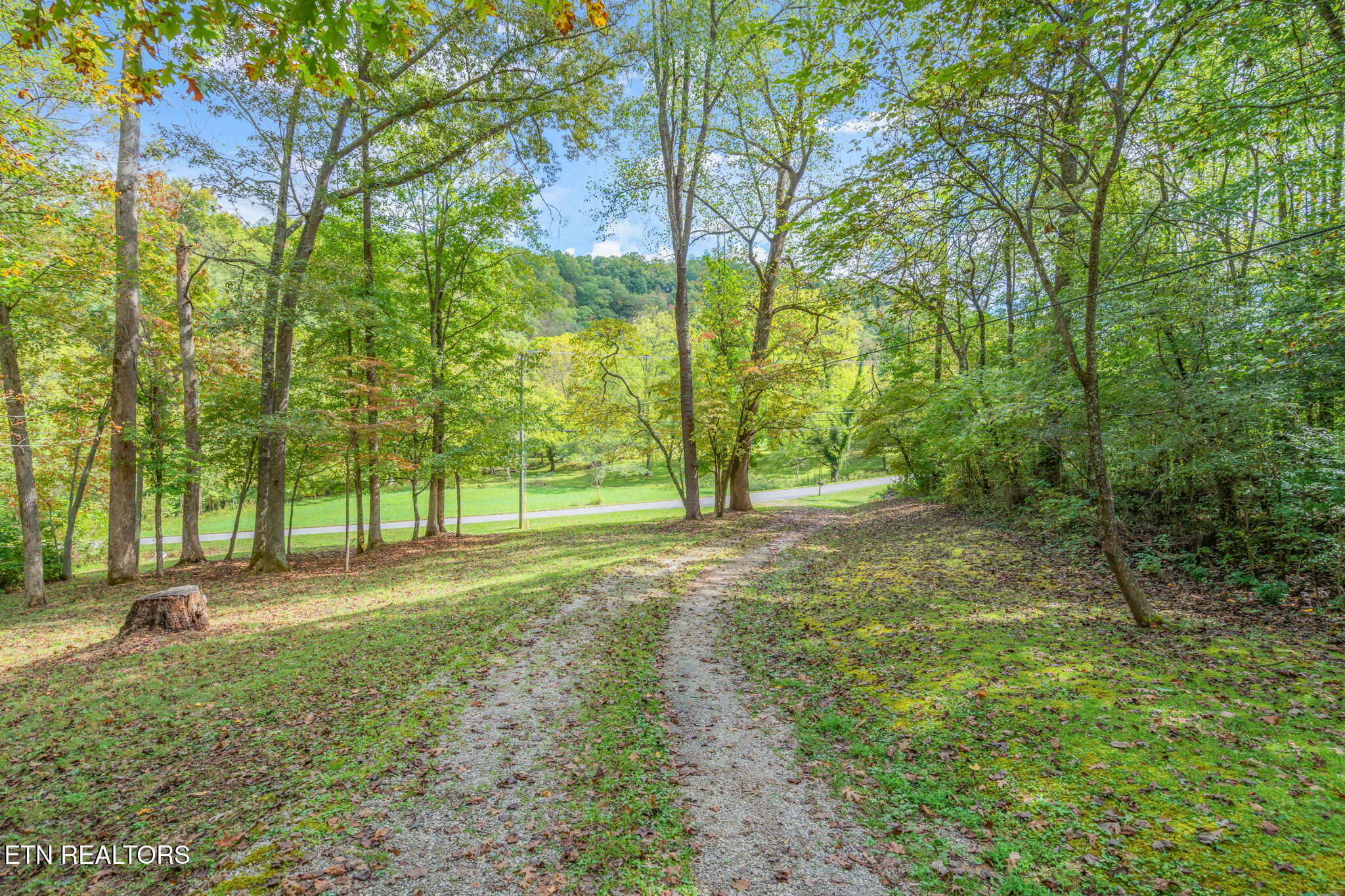 4969 Back Valley Road Speedwell, TN 37870 - Photo 40 of 49 56-web-or-mls-4969 Back Valley Road-79
