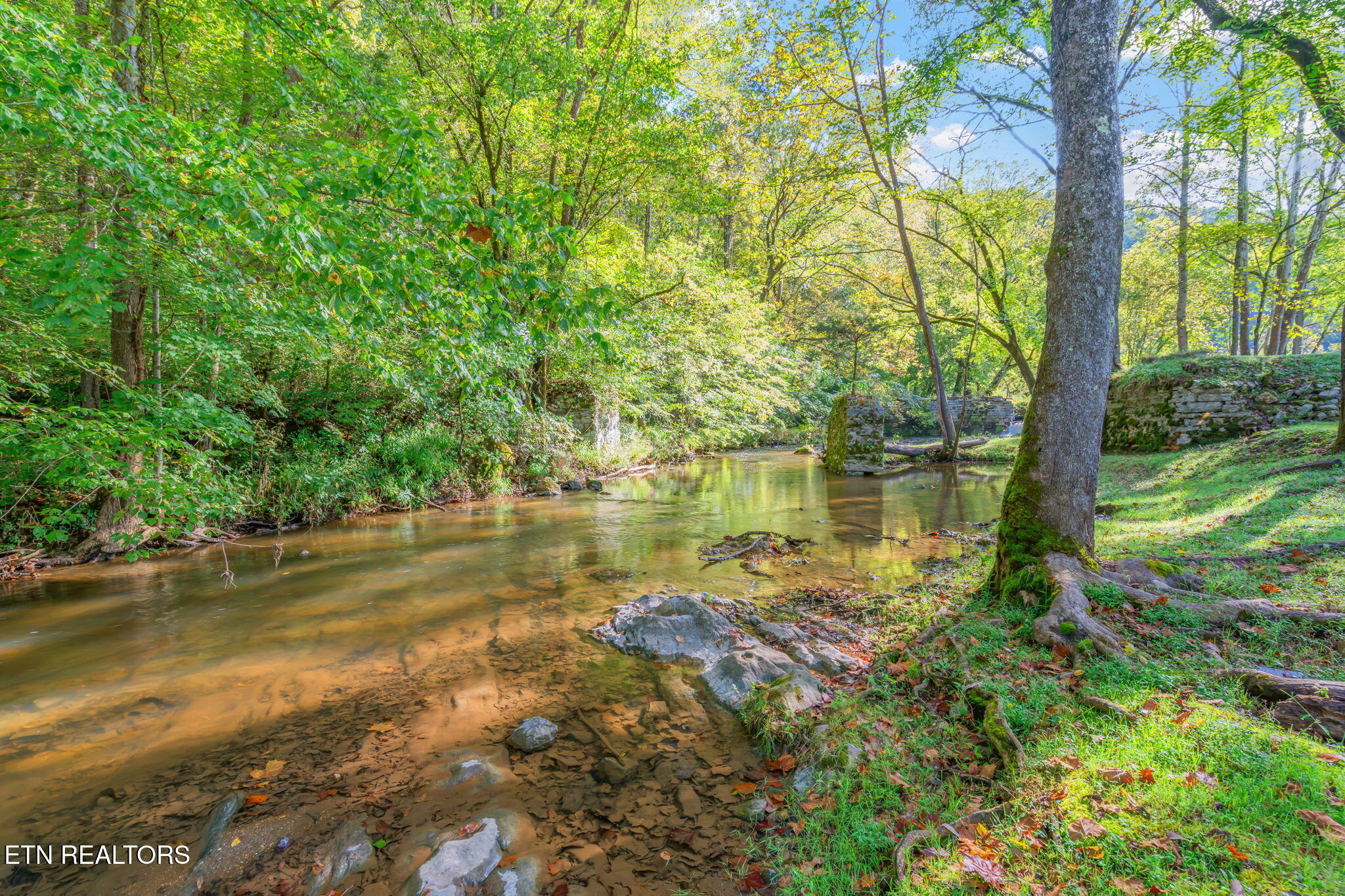 4969 Back Valley Road Speedwell, TN 37870 - Photo 41 of 49 58-web-or-mls-4969 Back Valley Road