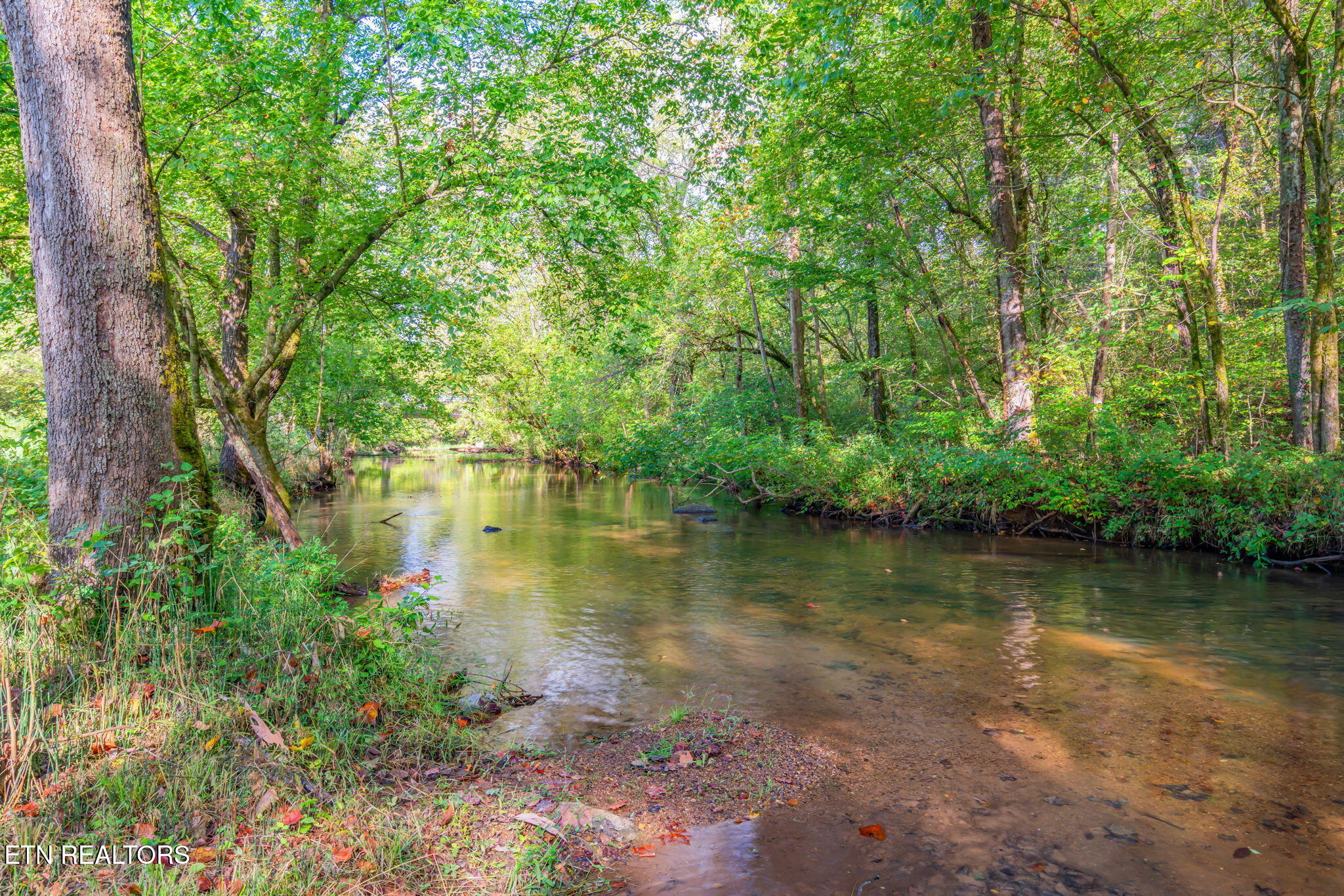 4969 Back Valley Road Speedwell, TN 37870 - Photo 42 of 49 59-web-or-mls-4969 Back Valley Road-2