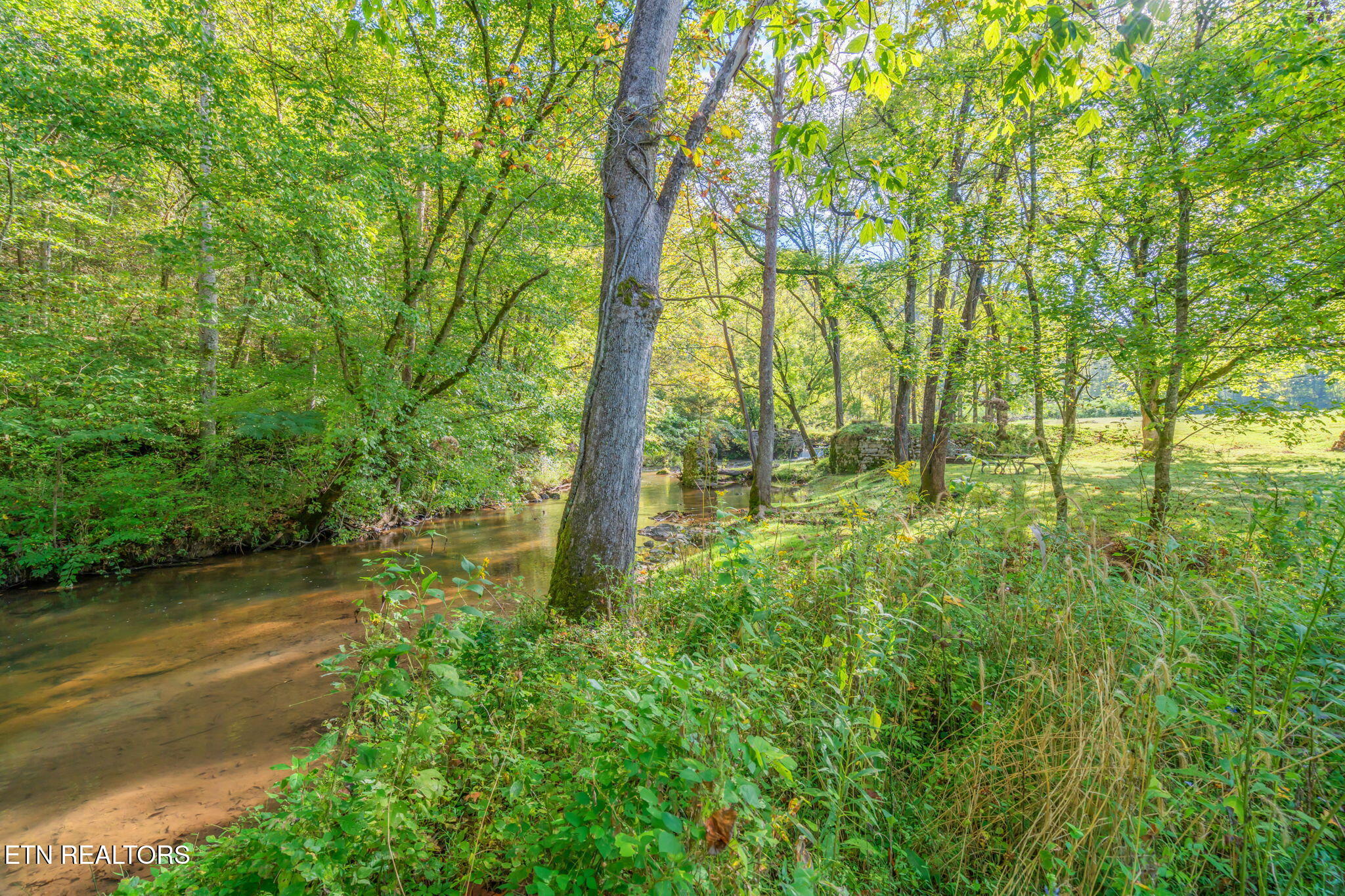 4969 Back Valley Road Speedwell, TN 37870 - Photo 43 of 49 60-web-or-mls-4969 Back Valley Road-3