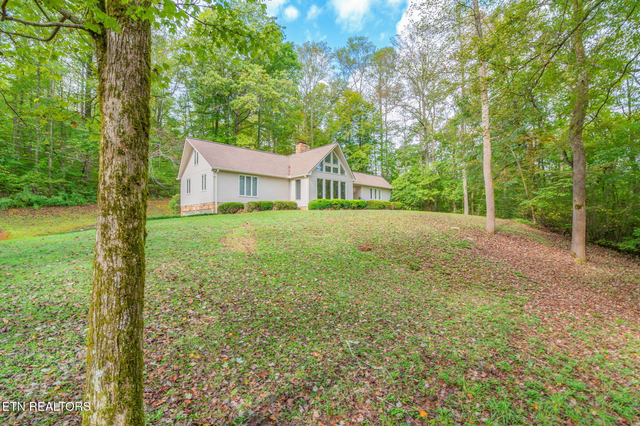 4969 Back Valley Road Speedwell, TN 37870 - Photo 5 of 49 6-web-or-mls-4969 Back Valley Road-28
