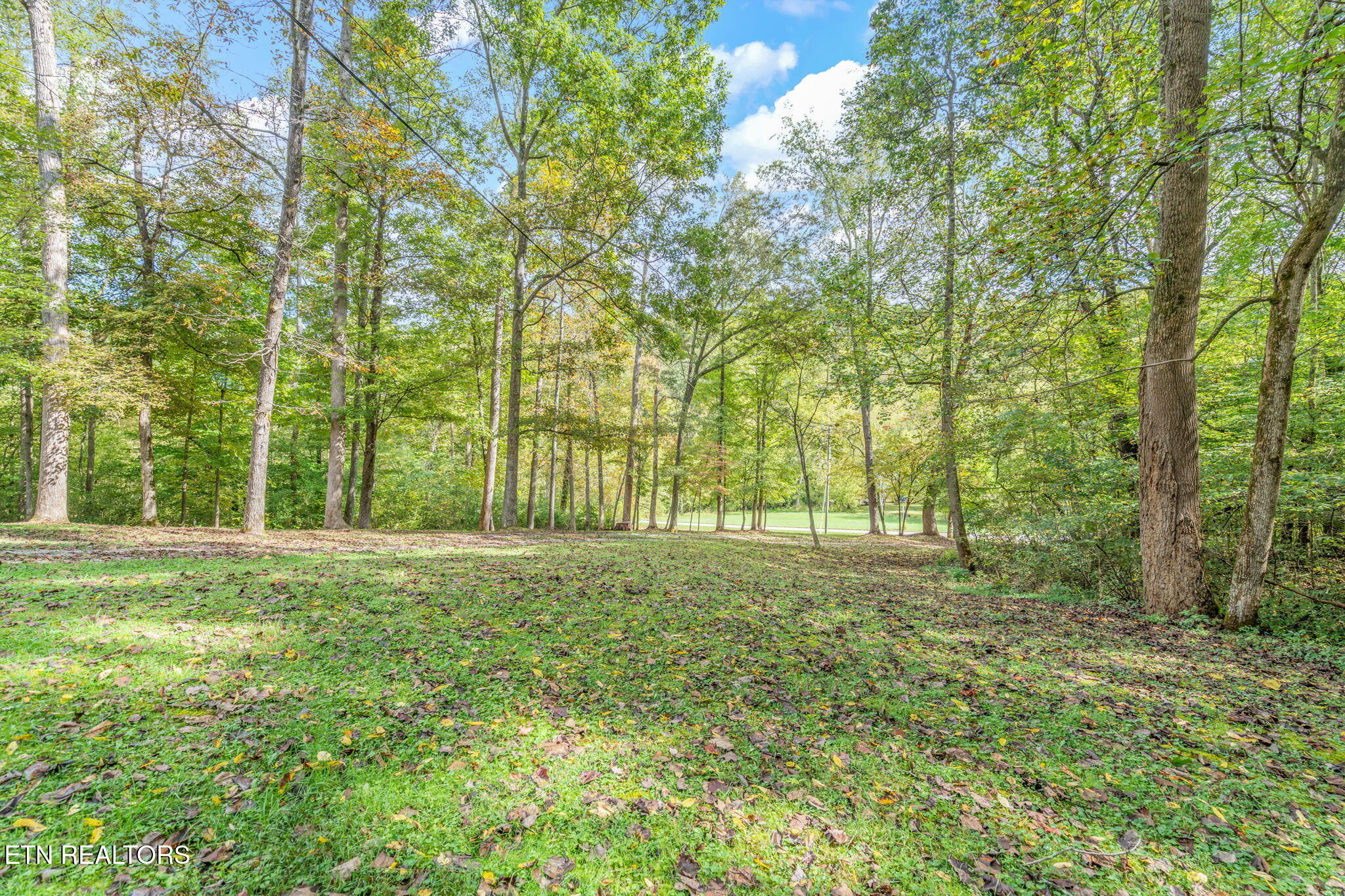 4969 Back Valley Road Speedwell, TN 37870 - Photo 8 of 49 9-web-or-mls-4969 Back Valley Road-37