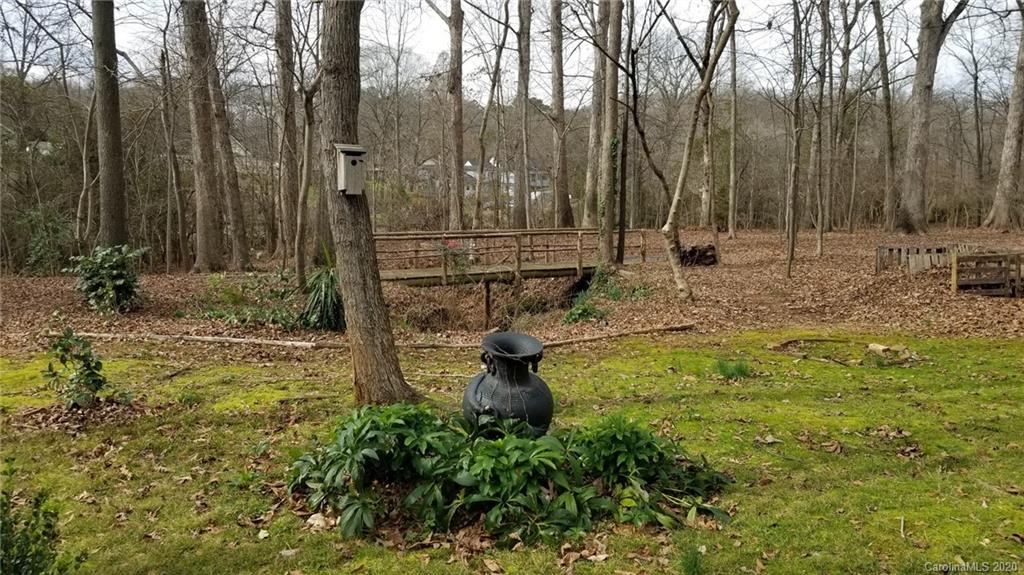 225 Pine Street Fort Mill, SC 29715 - Photo 31 of 40 a view of a yard with large trees
