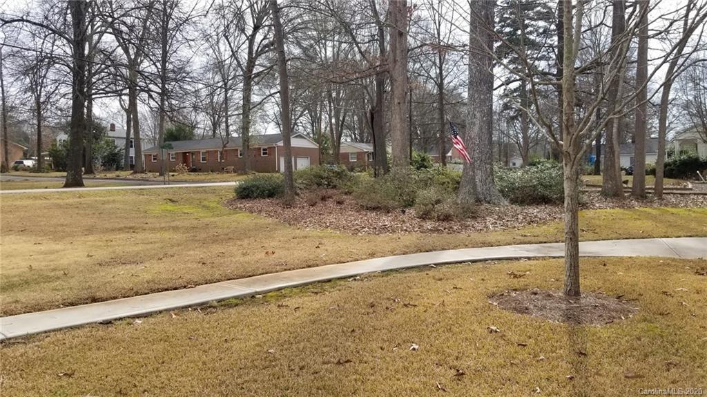 225 Pine Street Fort Mill, SC 29715 - Photo 32 of 40 a view of a yard with a tree